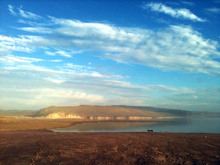 Looking to Community: Remarks at the Environmental Leaders of Marin Awards