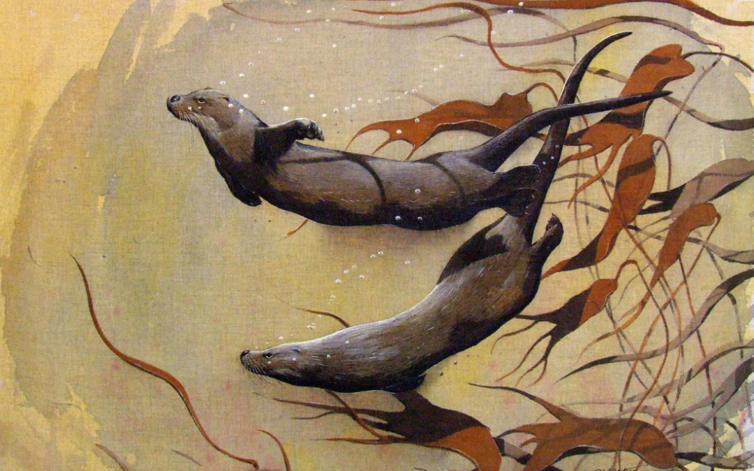 An Otter Legend, derived from the Cree