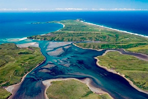 A New Marine Wilderness in the Bay Area & River Otters