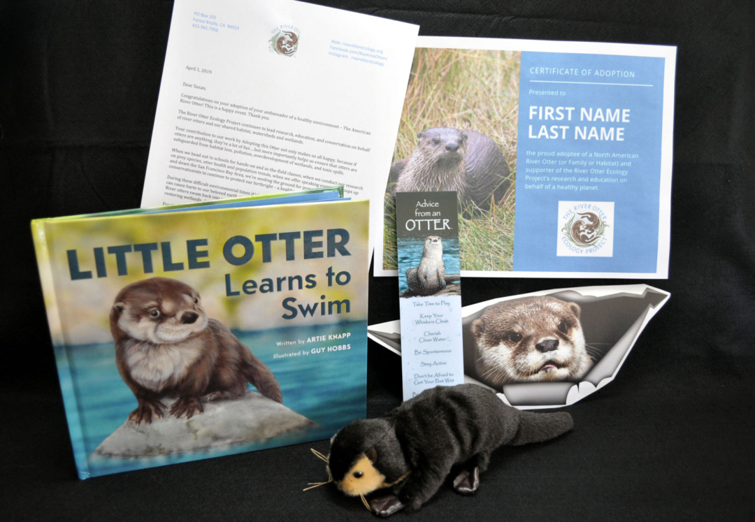 Adopt An Otter River Otter Ecology Project