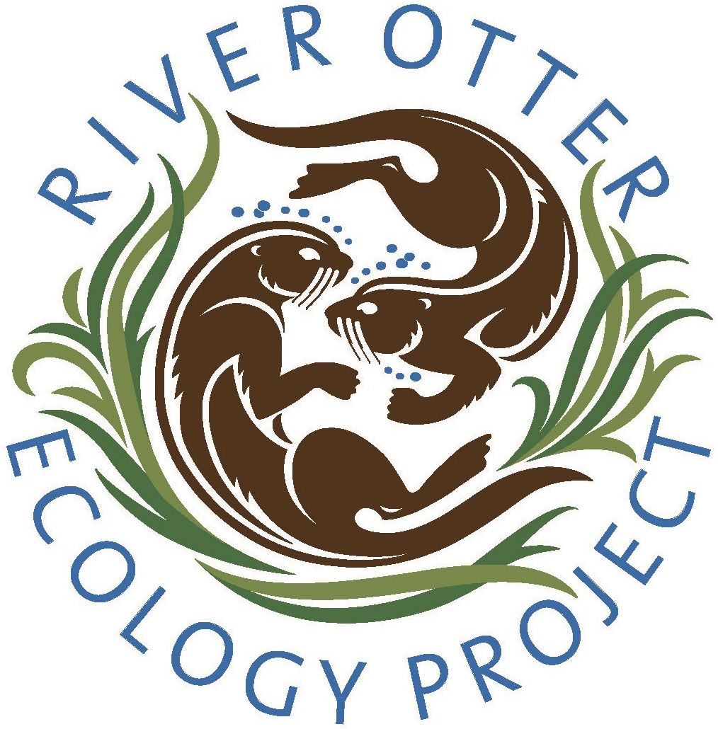 River Otter Ecology Project River Otters Heralds Of A Healthy Watershed